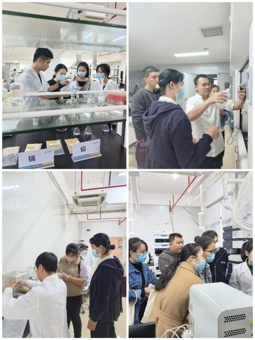 提升專業(yè)技能，守護食品安全——海南省食品安全協(xié)會成功舉辦2024年度食品檢驗員職業(yè)技能培訓班